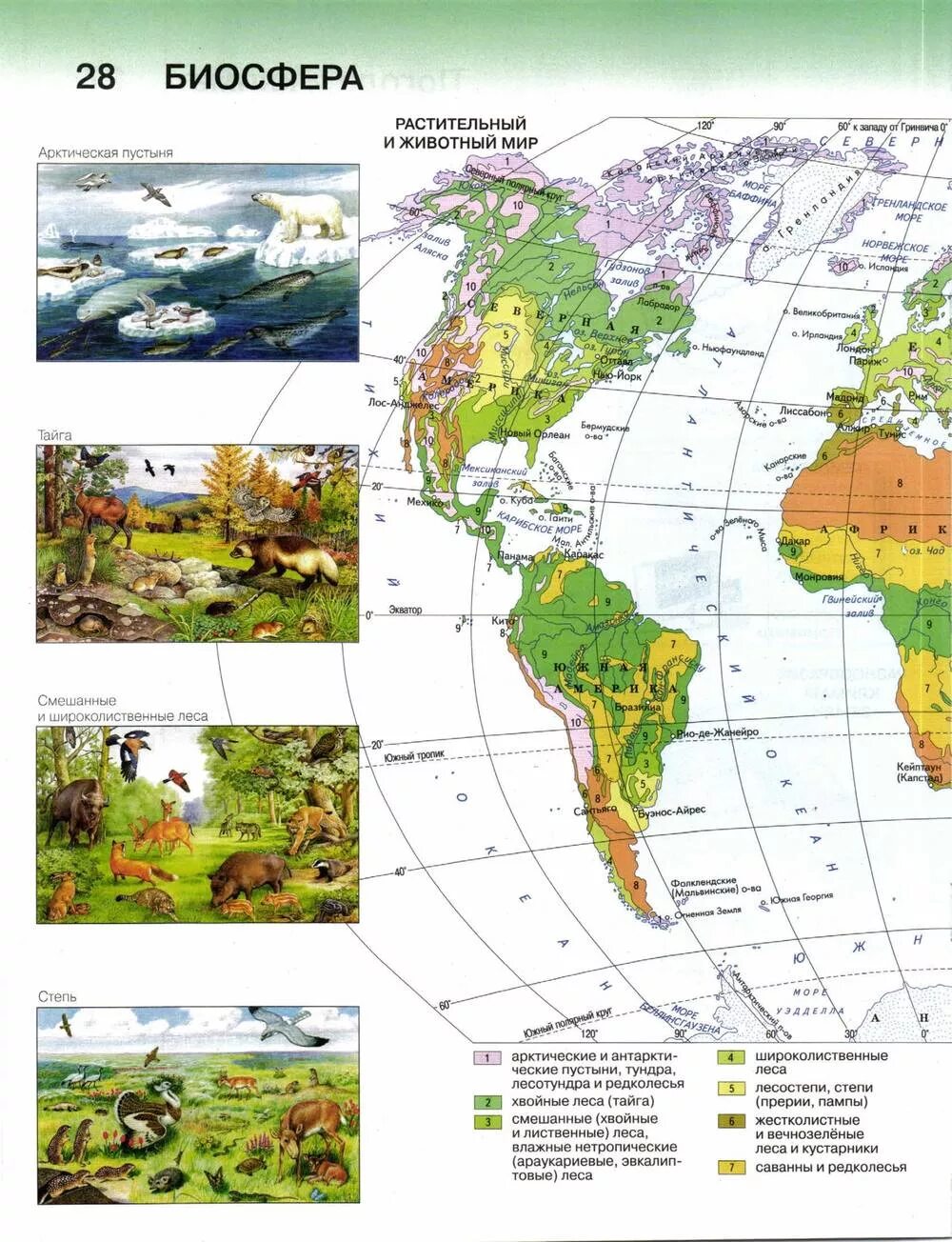 Физическая карта полушарий 5 класс география атлас. Дзидзигури география атлас 6 класс. Атлас. Атлас. Атлас земли география 6 класс.