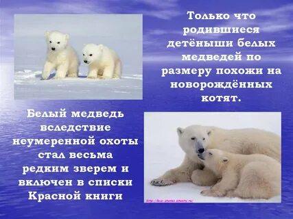 В холодных районах нужно обязательно заготавливать