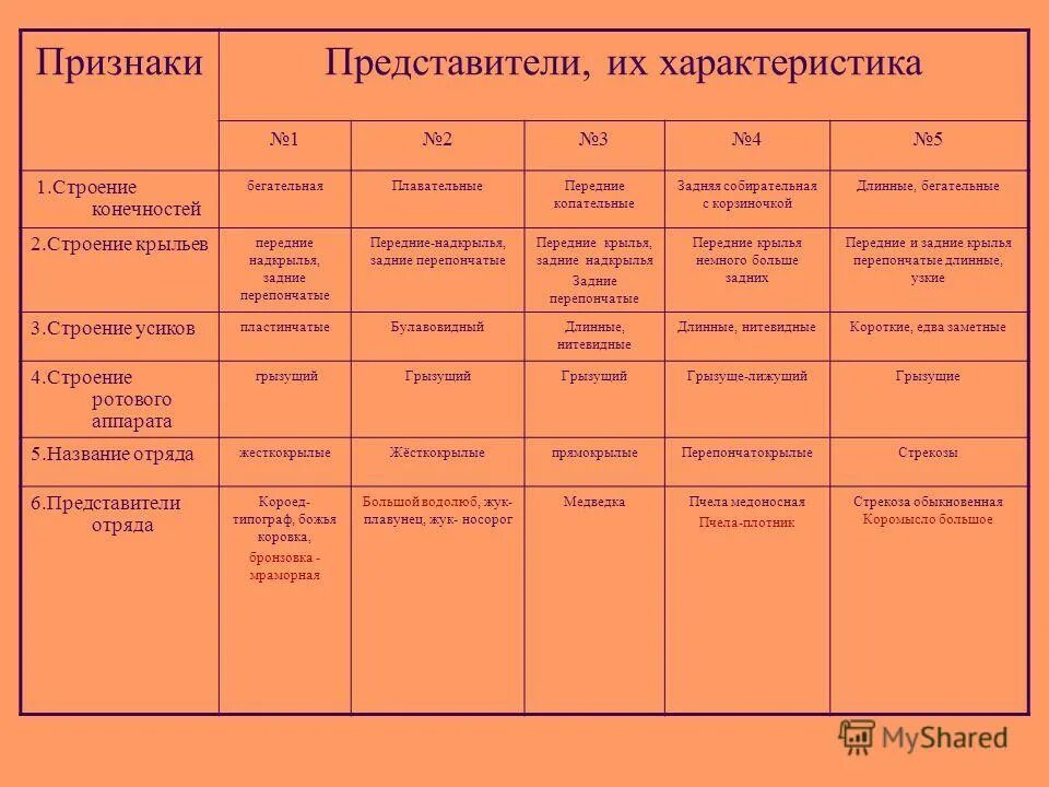 Характерные признаки представителей группы. Отряды насекомых таблица. Таблица по видам насекомых. Отряды класса насекомые таблицы. Отряды насекомых в виде таблицы.