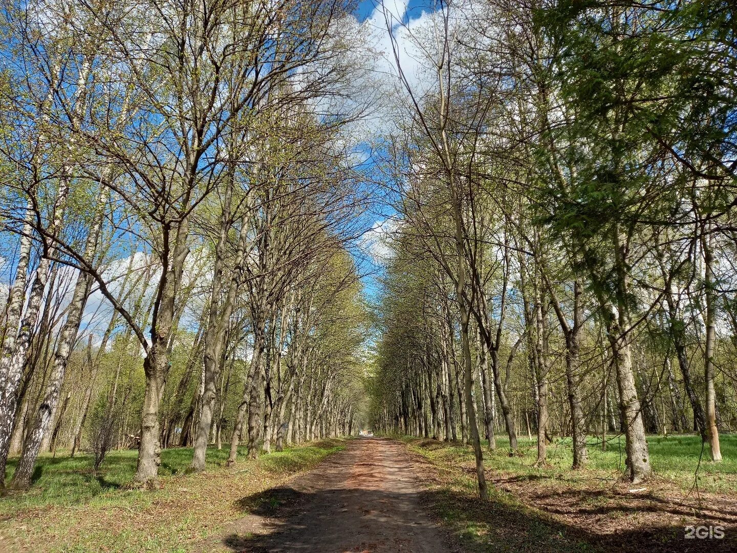 Бирюлевский дендропарк москва. Дендропарк где. Фото дендрарий зеленоград. Дендропарк где. Дендропарк где.