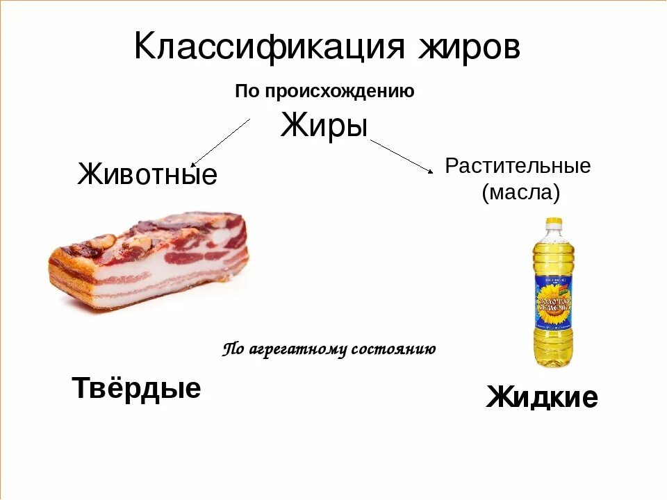 Растительные и животные жиры отличаются. Животные жиры. ДТРЫ животные и растительные. Жиры животного и растительного. Жиры растительного происхождения.