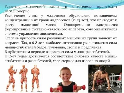 Мышечная сила у детей