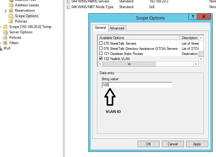 Прописать VLAN на сетевой карте. Лог DHCP Windows. Как прописать влан на сетевой карте. DHCP scope options. Temp server