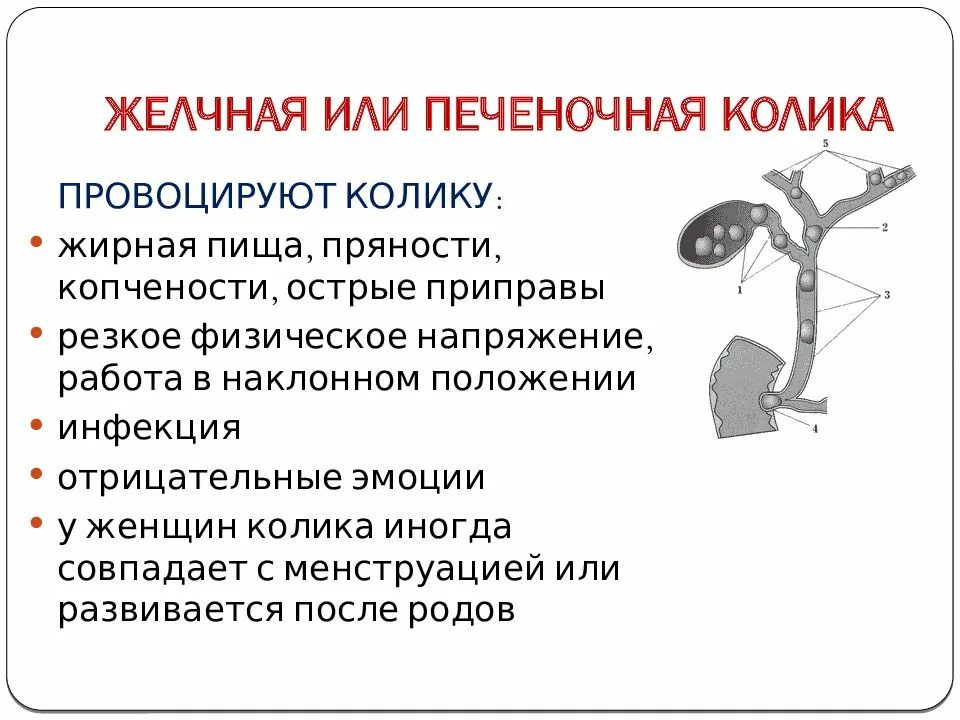 Колики в печени. Печеночная колика провоцирующие факторы. Желчная и печеночная колика. При желчной колике. ЖКБ печеночная колика.