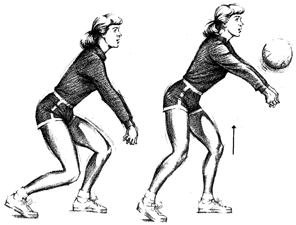 Прием подачи в волейболе. Прием подачи мяча в волейболе. Нижняя передача в волейболе. Нижняя передачаволейбло. После волейбола читать