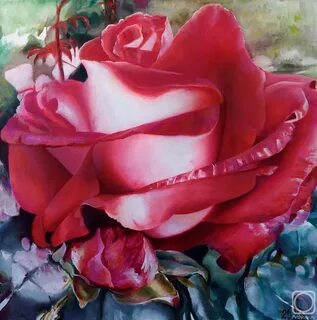 Still rose