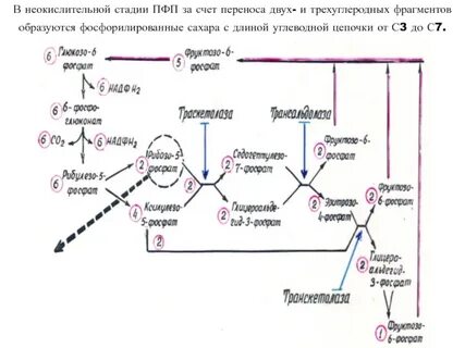 За счет переноса