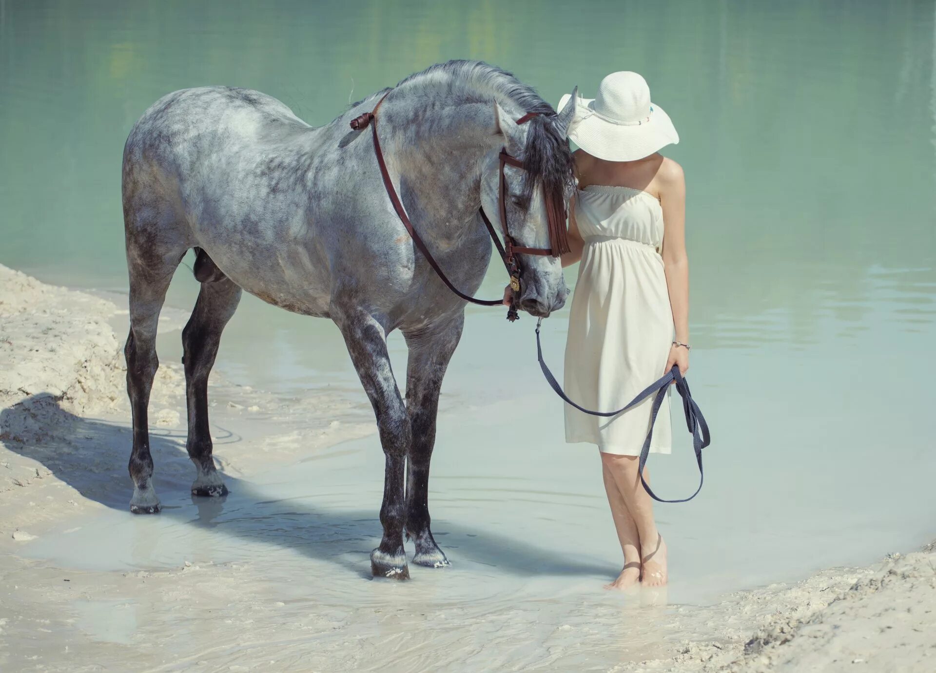 Девушка с лошадью. Фотосессия с лошадью в платье. Фотосессия с лошадью в воде. Девушка на коне.
