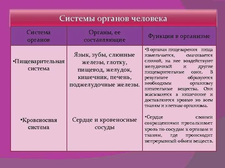 Система органы функции тканей человека. Система органы функции тканей человека