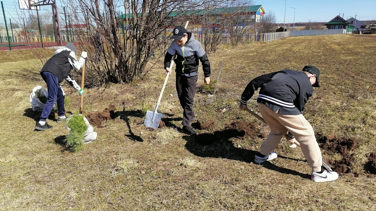 Посадка деревьев в октябре 2025. Высадка деревьев. день посадки деревьев. посадка лесов. посадка деревьев экология.