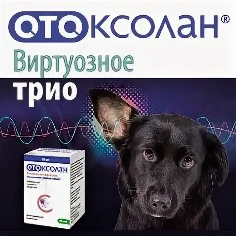 Отоксолан для кошек. Отоксолан для собак. Отоксолан капли ушные. Отоксолан аналог. Отоксолан аналоги для животных.