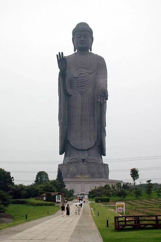 Большие статуи. Статуя Будды в Японии 120 м. Статуя Будды самая высокая в мире. Самая высокая статуя Будды в мире 442 метра. Статуя Будды Лаукун Сектуар.