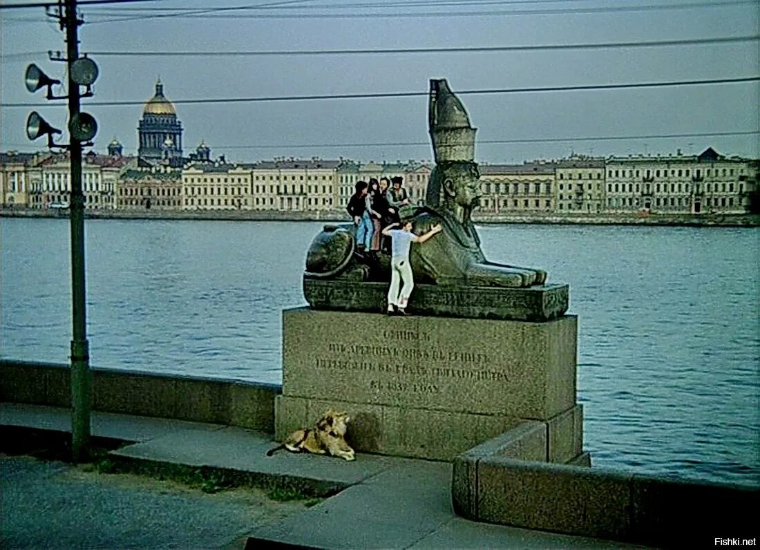 Кадры санкт петербург. Сфинксы в Санкт Петербурге приключения итальянцев в России. Невероятные приключения итальянцев в России сфинкс. Петербург в фильме невероятные приключения итальянцев в России. Сфинкс Лев Питер приключение итальянцев в России.
