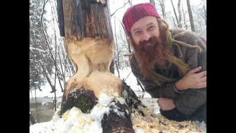 Отшельники видео
