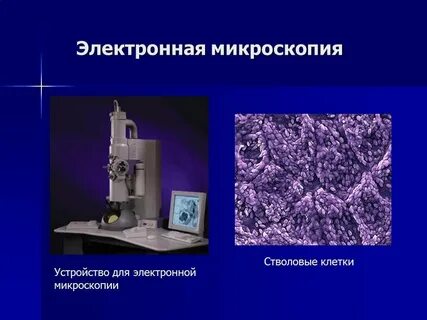 Изображение получаемое с помощью микроскопа является