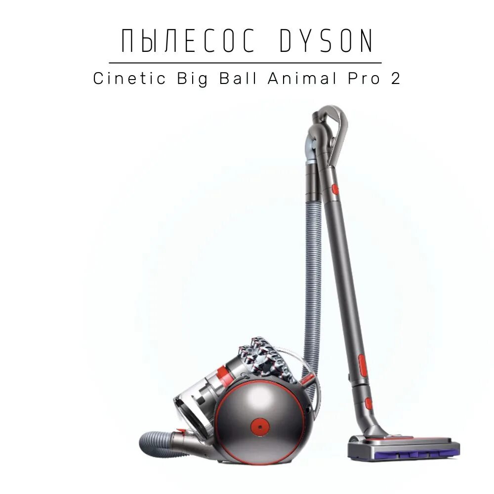 Продукция дайсон. Dyson Cinetic big Ball absolute 2 (Silver). Dyson Ball animal 2. Техника Дайсон. Dyson big Ball Allergy 2 Kit.