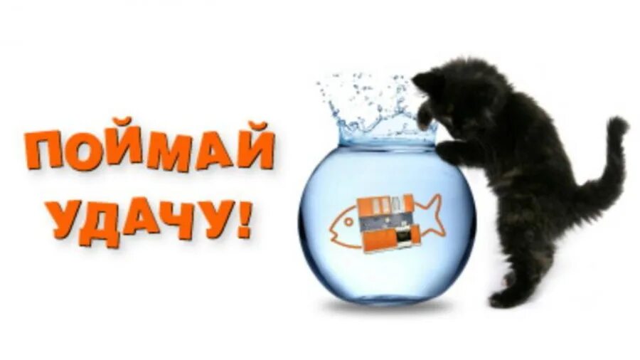 Как повысить свою удачу. Поймай удачу за хвост. лови удачу за хвост. поймать удачу за хвост. поймай удачу надпись.