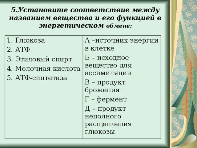 Установите соответствие между названиями наук. Установите соответствие между названиями наук