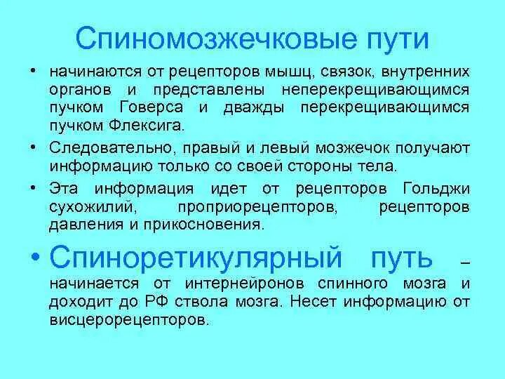 Оливоспинальный путь. Каковы основные функции спинного мозга. Основные проводящие пути спинного мозга. 6 нейронный путь экстрапирамидная система. 7 функций пути.