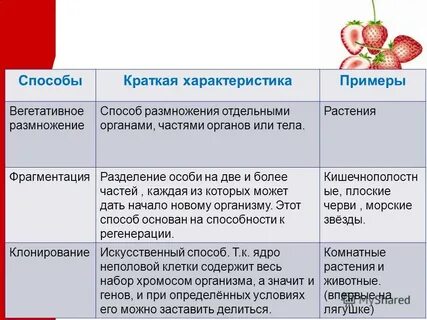 Размножение текста