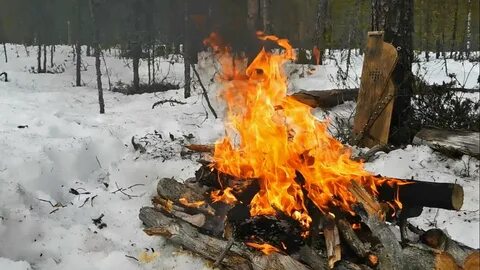 Видео костров