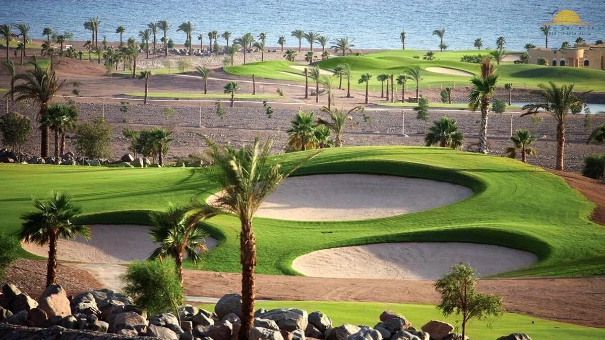 Gorgonia beach resort marsa alam. Интерконтиненталь таба египет. Golf beach resort египет. Отель rixos premium seagate. Риф оазис шарм-эль-шейх.