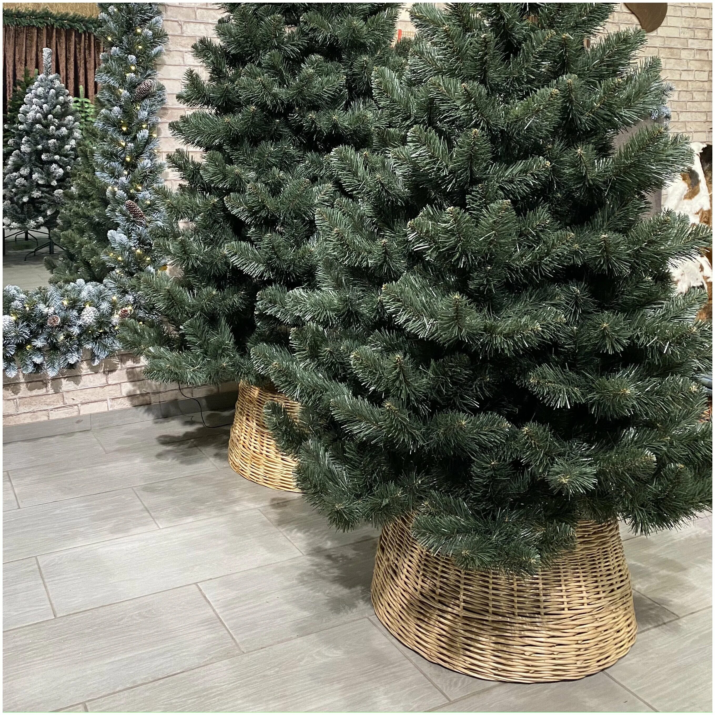 Triumph tree ель триумф норд зеленая 1. ели премиум. елка искусственная астерия премиум 230 см. 5 м. ель премиум искусственная нарядная.