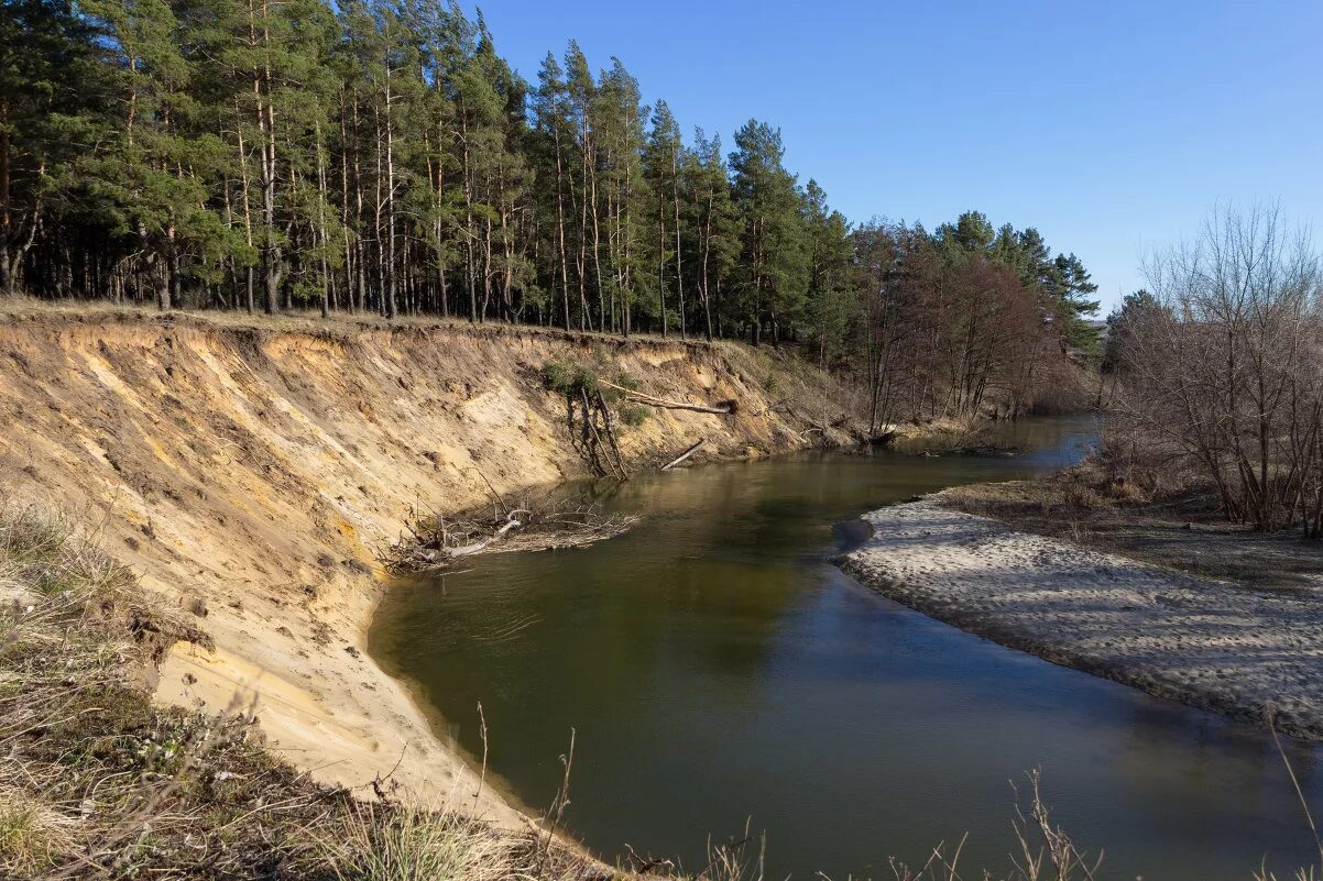 Скупая потудань воронежская. Исток реки потудань. Боровая потудань. Река потудань воронежская область. Река потудань.
