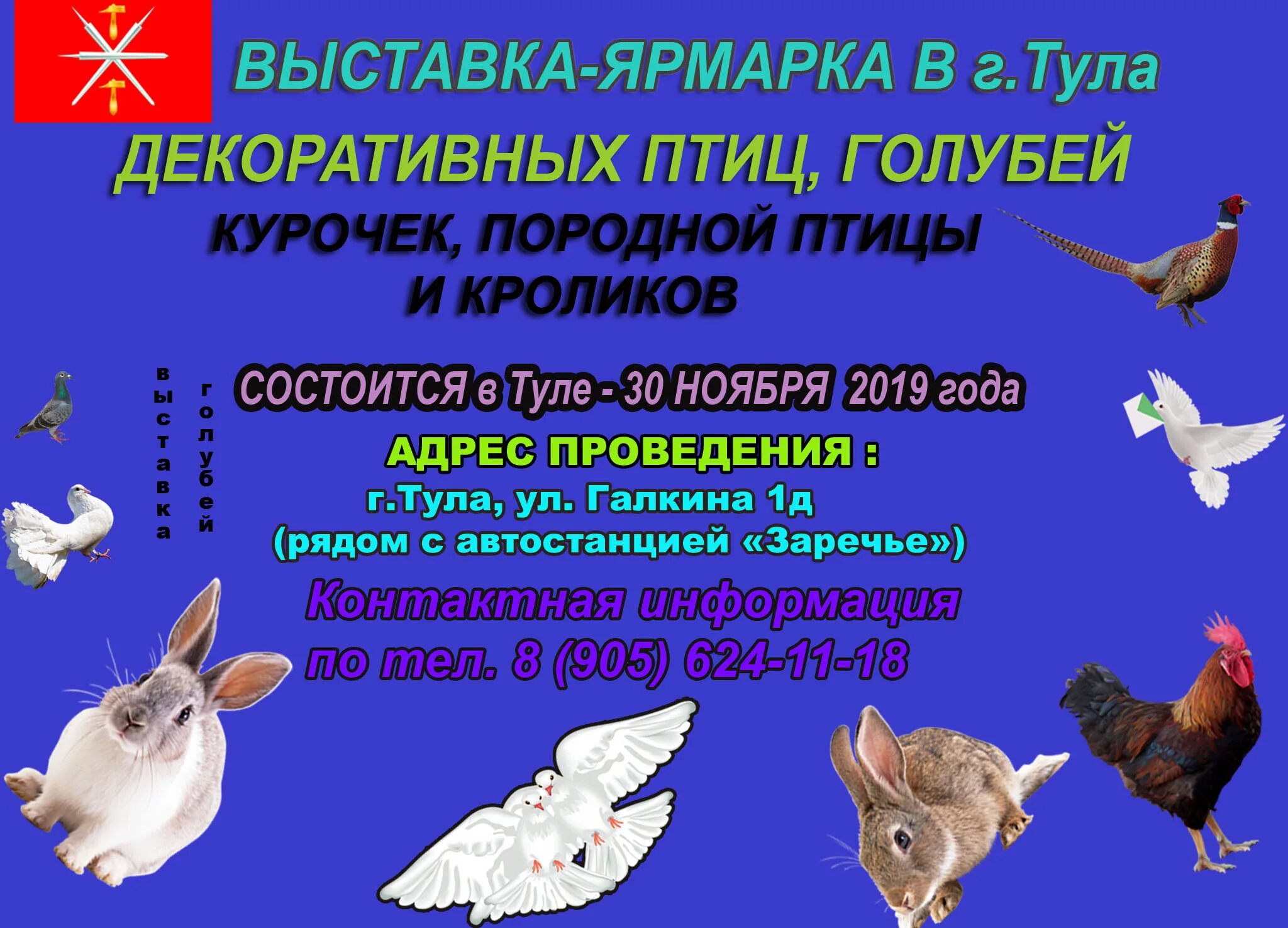 Выставка голубей 2025 году. Ярмарка голубей. выставка голубей в туле. выставка голубей в туле 2025. голубиные выставки тула.