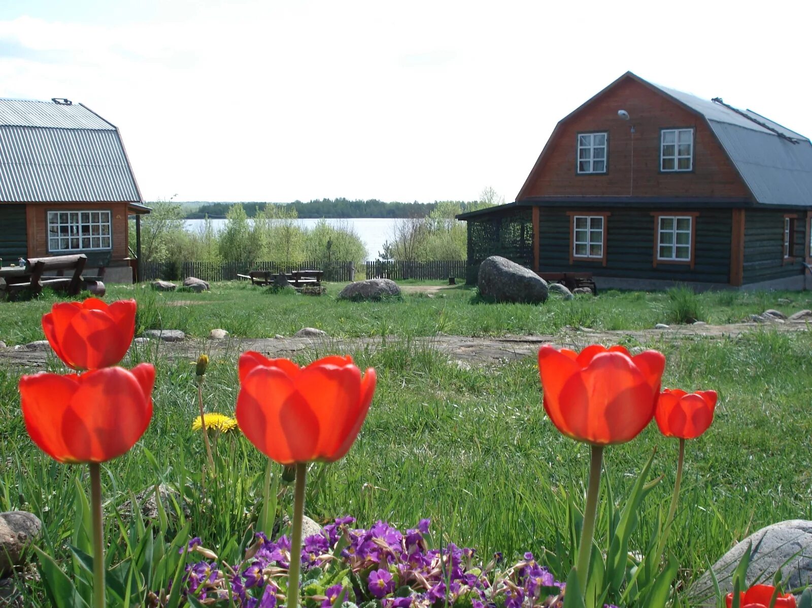 Эко village сочи глэмпинг- отель. Парк отель орловский московская область. База отдыха в подмосковье с отдельными домиками. Шиболово горки база отдыха. Отдых деревня московская область.