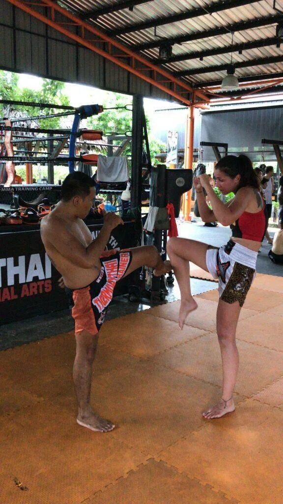 Тайгер Муай Тай Тайланд. Tiger Muay Thai Пхукет. Тайгер Муай Тай Пхукет зал. Tiger Muay Thai лагерь. Тайгер муай