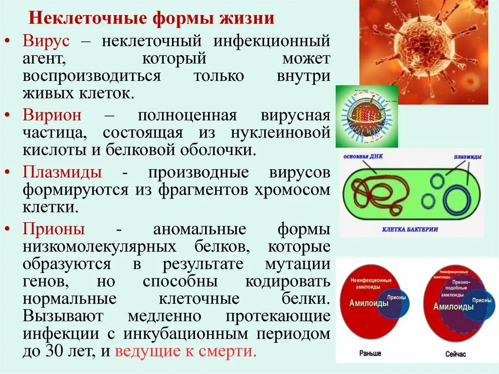 Нуклеиновые формы жизни