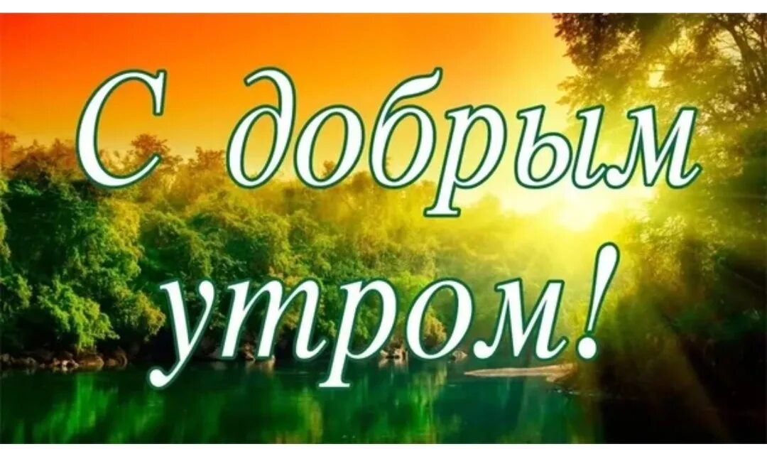 Доброе утро дорогая группа. С добрым утром дорогая группа. Доброе утро коллеги. Доброе утро дорогие коллеги.