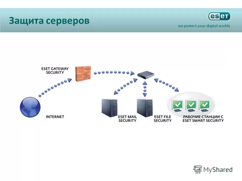 компьютерная система. информационные системы и технологии. защита сервера предприятия. компьютерная система. распределенные dos-атаки.