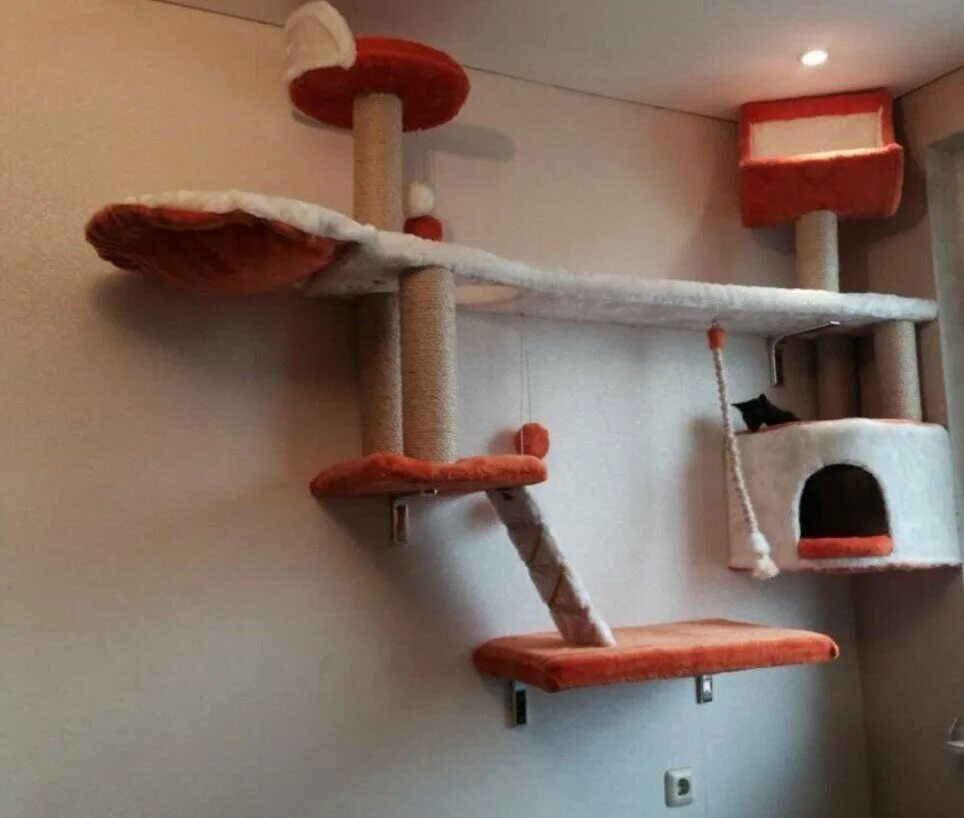 Домик для кошки на стене. Игровой комплекс для кошек на стену. Кошачий домик настенный. Игровой уголок для кошки. Развлечения для кошек