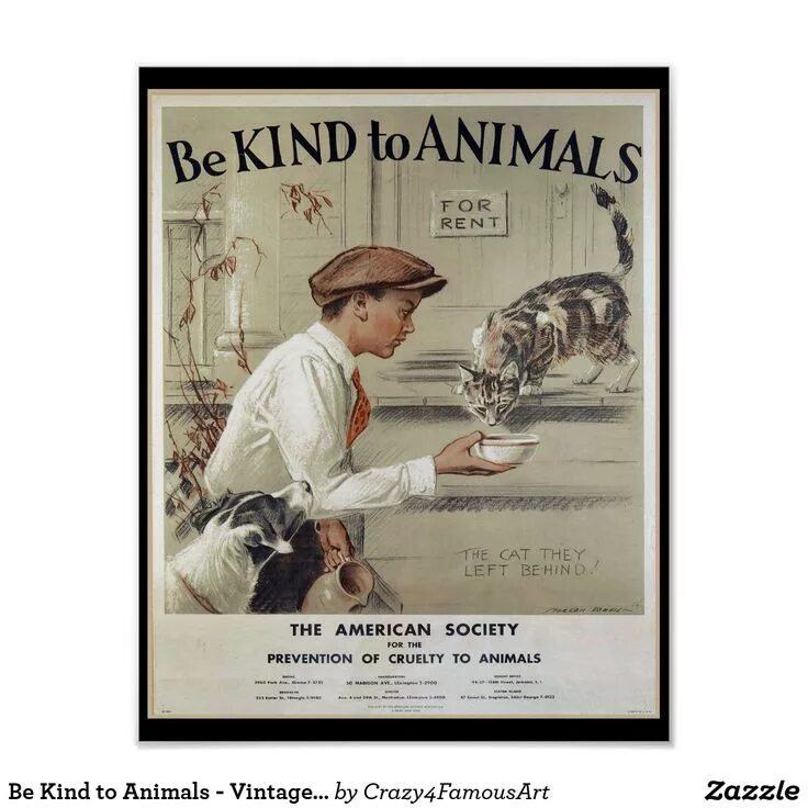 Kindness to animals. Винтажные животные плакаты. Постер винтажный животные. Винтажные плакаты с котами. Винтажные постеры коты.