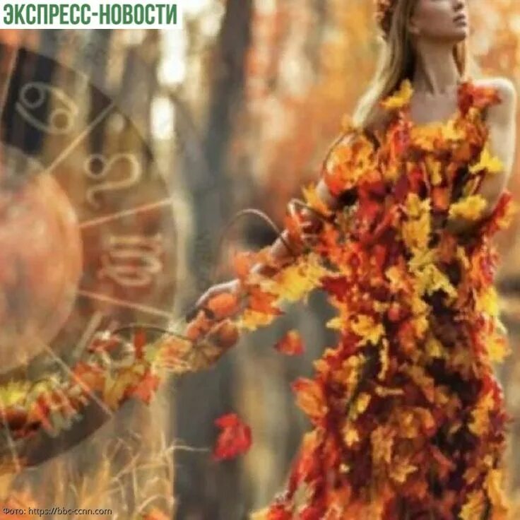 Каким знакам осенью. Осень астрология. осенние знаки зодиака. знаки зодиака осенью. гороскоп осень.