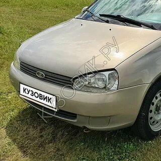 502 дыня