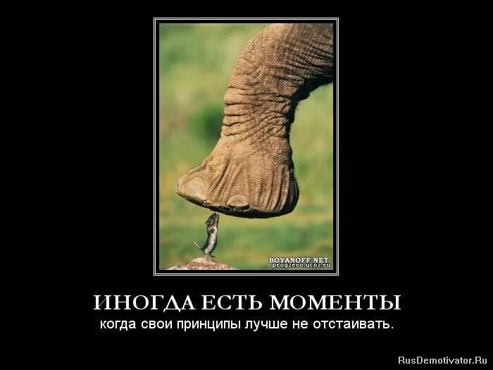 У каждого человека свои принципы. У каждого человека свои принципы. У каждого человека свои принципы. Демотиваторы про одиночество. Умные цитаты.