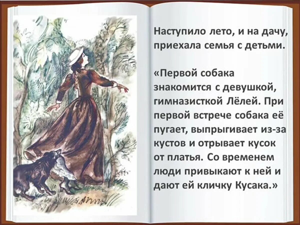 Кусака. Кусака Андреев. Кусака иллюстрации. Иллюстрация к рассказу кусака. Кусака рассказ полностью