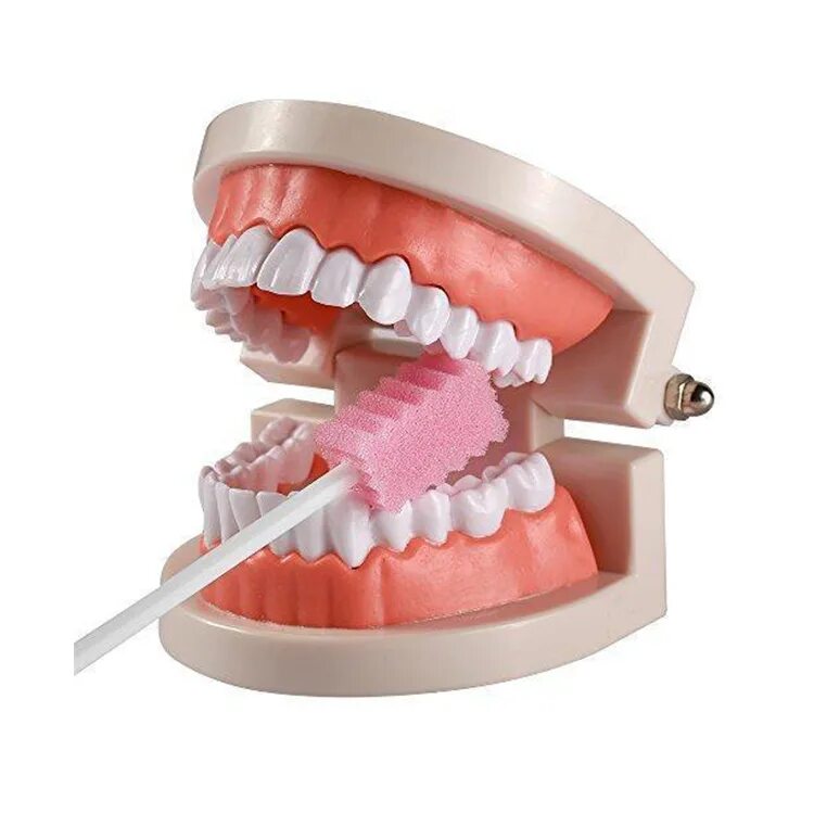 Тампоны для зубов. Заживление удаленного зуба. Губка стоматологическая стимул-осс d 11мм 1. Рассасывающаяся губка в стоматологии. Стимул-осс губка стоматологическая.