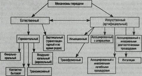Способы передачи инфекции схема