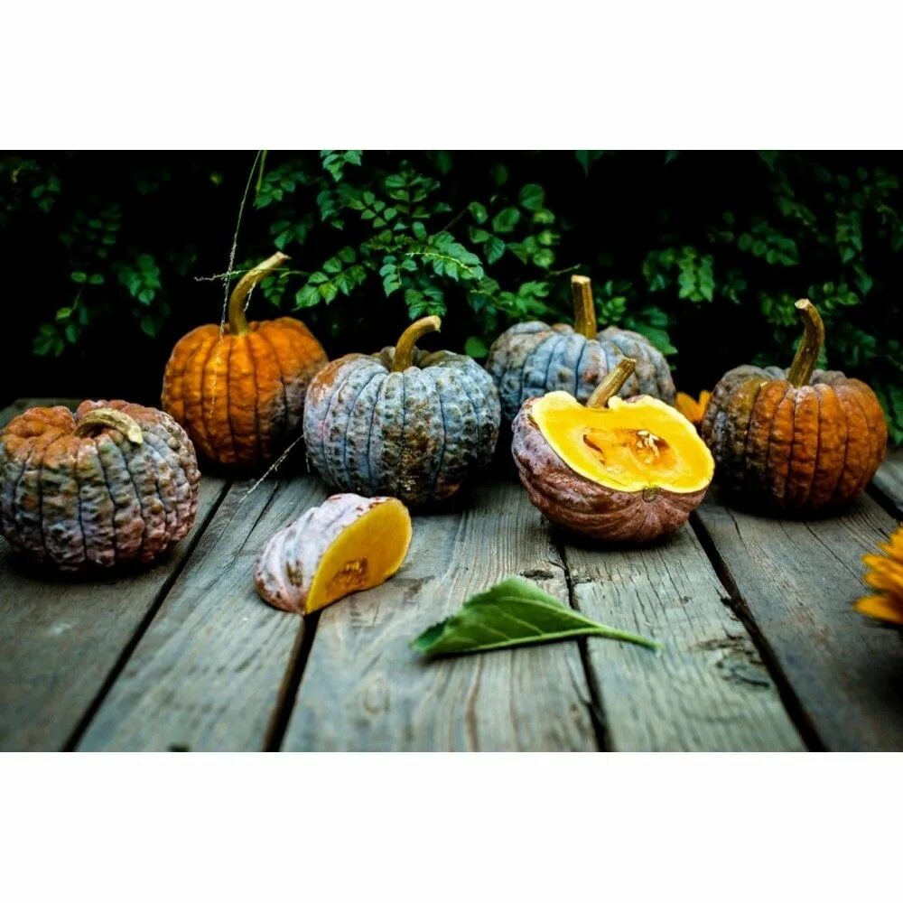 Вкусвилл мороженое тыква. Вкусвилл мороженое тыква мята. Мороженое мятная тыква вкусвилл. Вкусвилл протеиновое мороженое тыква. Мороженое мятная тыква вкусвилл.