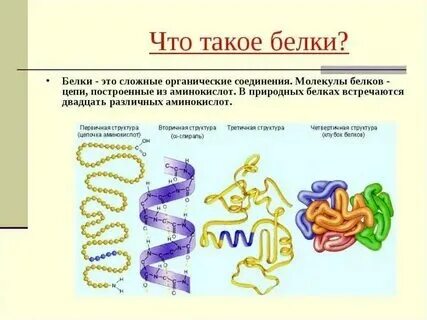 Белки какая ткань