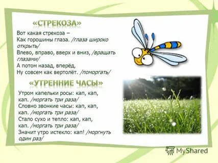 Вот какая стрекоза как горошины глаза