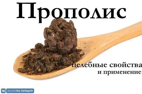Прополис что это и для чего используется