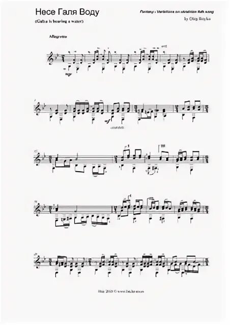 Украинская песня на воду. Несе Галя воду текст. Несе Галя воду Ноты для баяна. Несе Галя воду Ноты. Текст песни несе Галя воду на украинском.