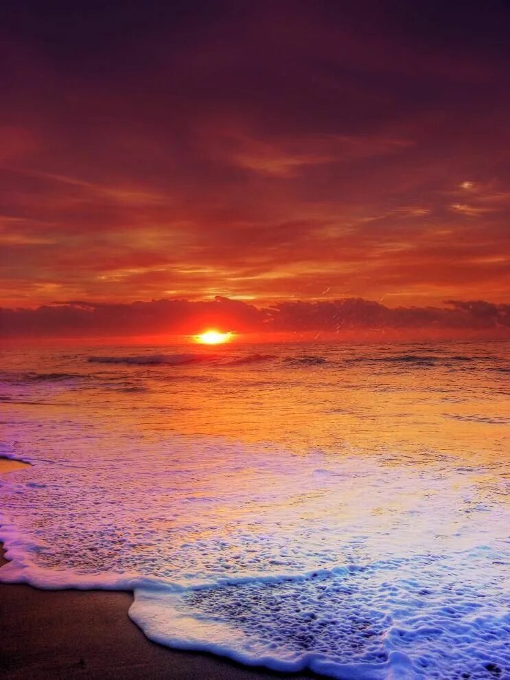 Sunset she