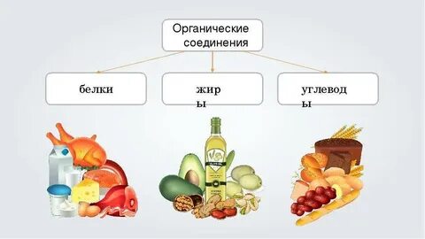 Пример углеводов и белков
