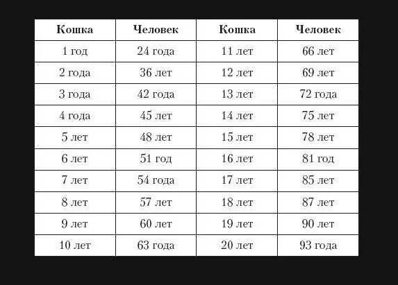 56 год сколько лет будет. Возраст кошки по человеческим меркам таблица. 6 Лет кошке по человеческим меркам таблица. Возраст котов по человеческим меркам таблица по годам. Если коту 4 года сколько ему лет по человеческим меркам таблица.